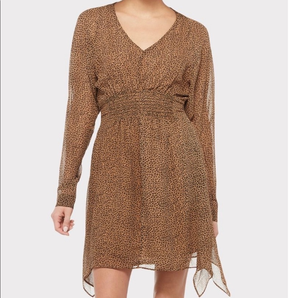 Fate Leopard Print Mini Dress